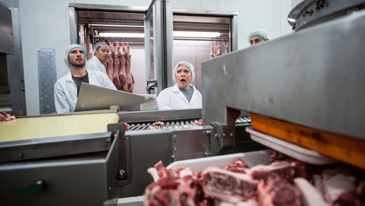 Ancora non sappiamo dove è finita la carne scongleta e ricongelata del servizio shock di Report