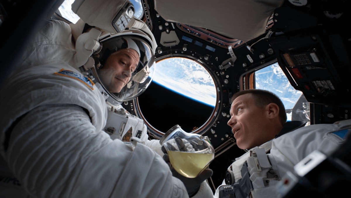 Nello spazio stanno provando un cibo a base di pipì