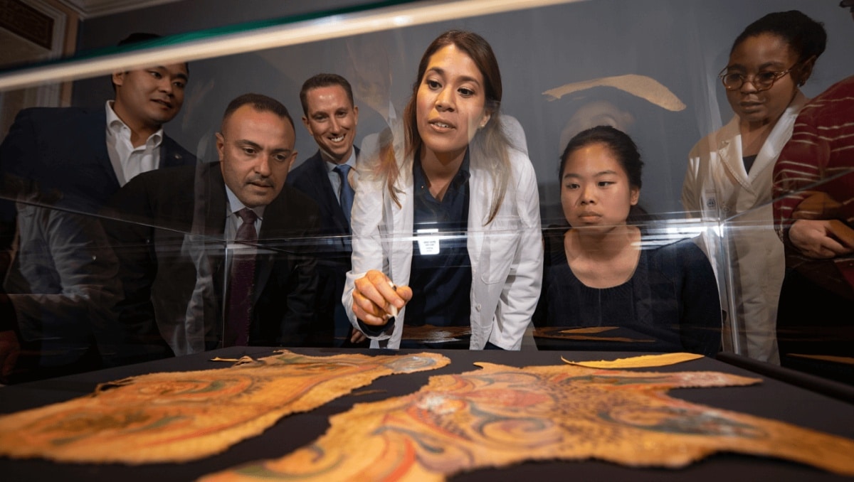 UniBologna, cosa ci fanno frammenti di pelle umana tatuata nella Collezione delle Cere Anatomiche? Uno studio