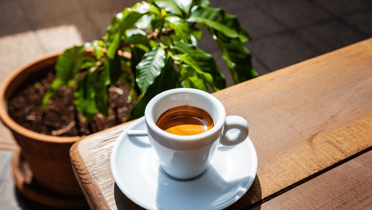 Per quanti anni potremmo ancora permetterci una tazza di caffè prima che diventi troppo caro?