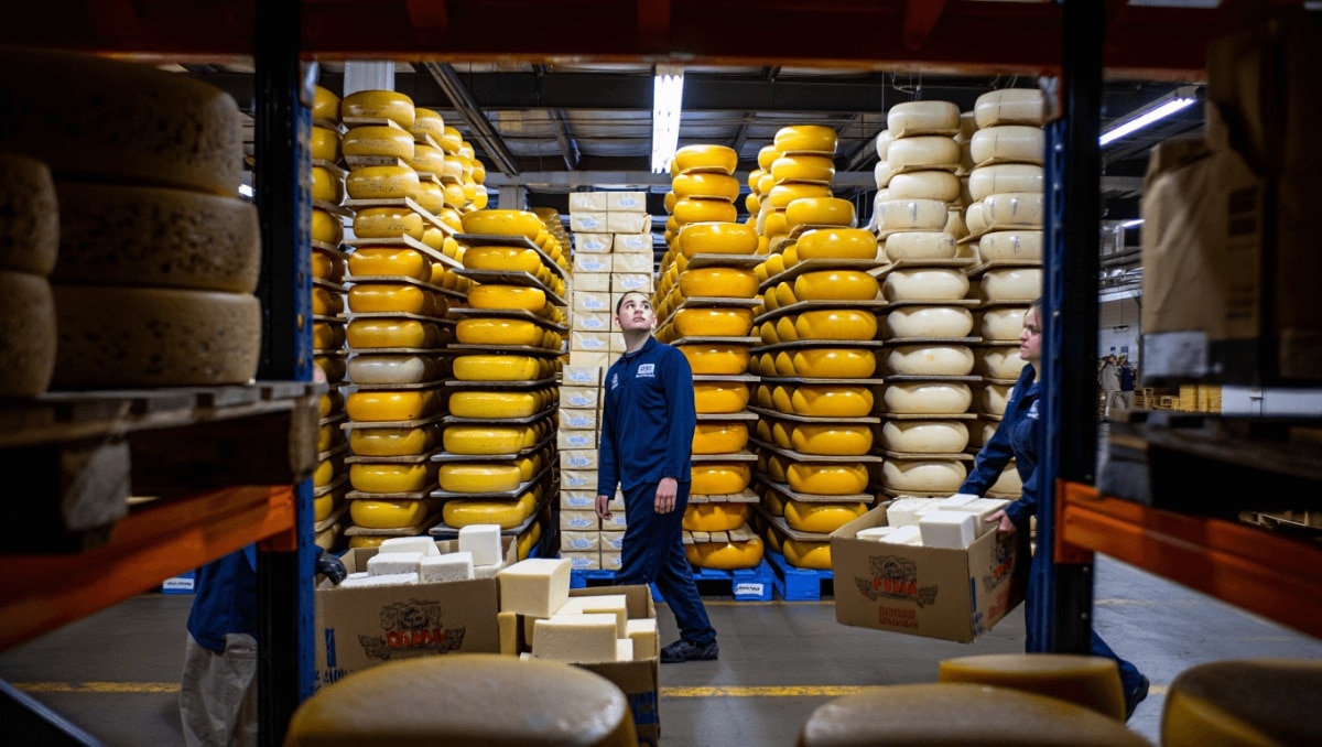 Perché l’USDA compra 264 milioni di dollari di formaggio?