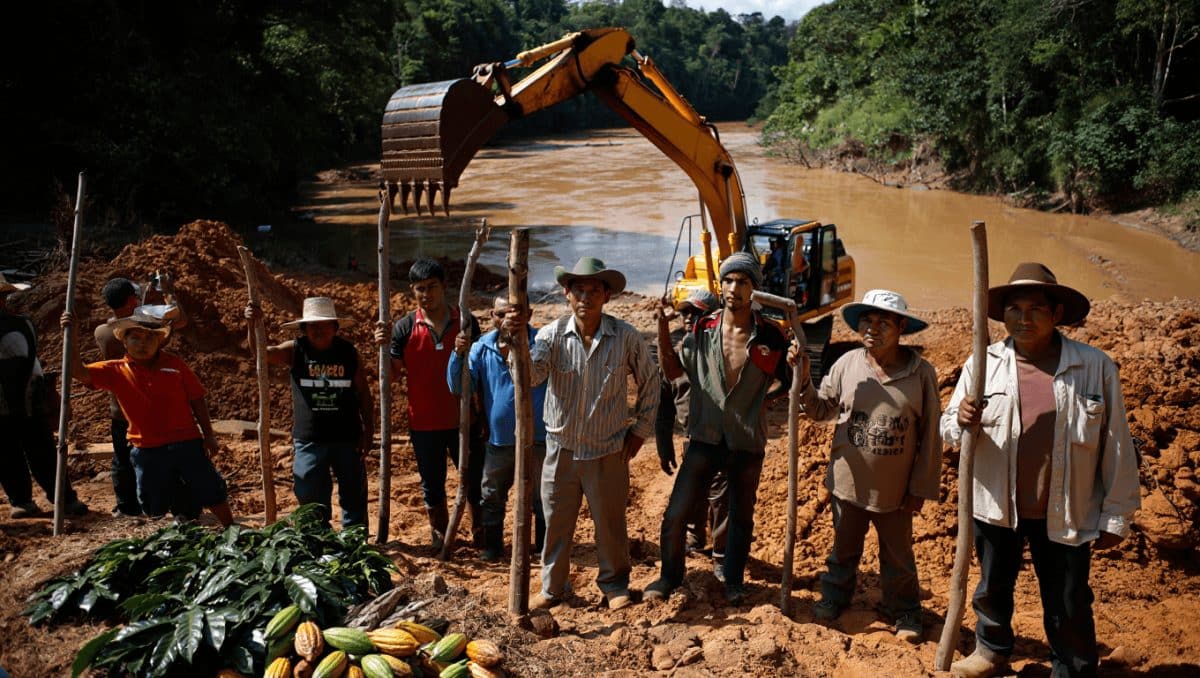 In Bolivia i produttori di cacao stanno vincendo contro l’industria dell’oro