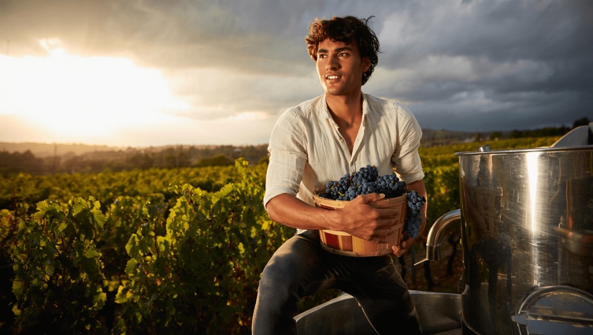 È già il momento dei vini post-naturali