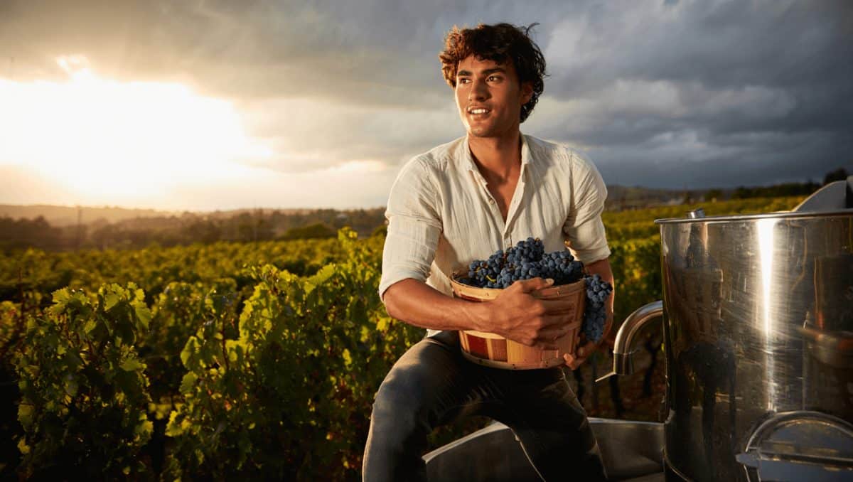 È già il momento dei vini post-naturali