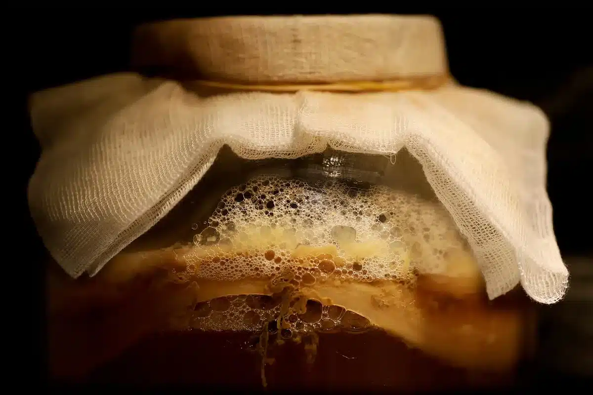 Preparazione tradizionale di pesce fermentato con ingredienti naturali in vasetto di vetro