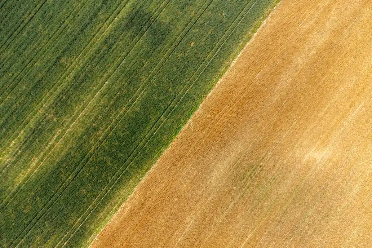 Campi agricoli trasformati in fasce orizzontali di colore saturo, paesaggio rurale ridotto a composizione cromatica