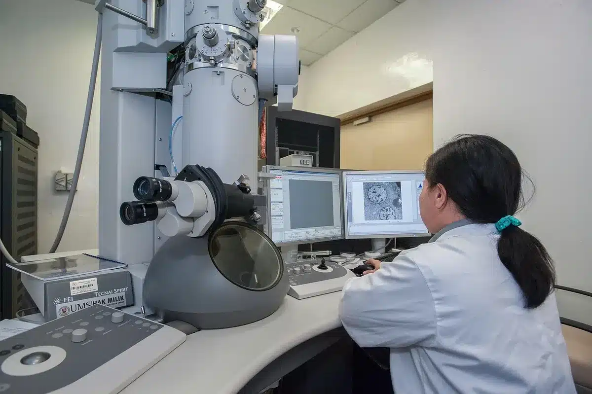 Modelli anatomici in cera e strumenti scientifici storici esposti in vetrina