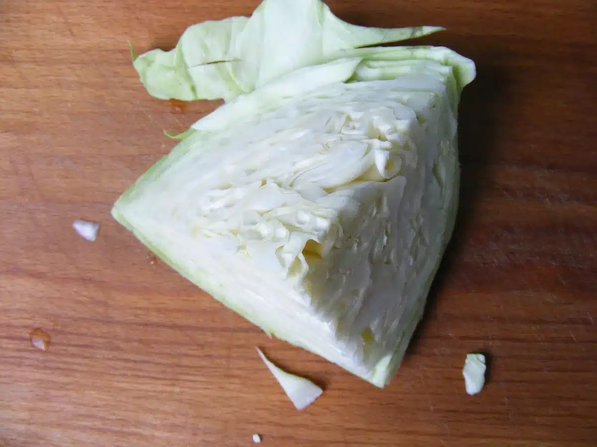 Foglie di insalata tagliate e maneggiate durante la lavorazione industriale