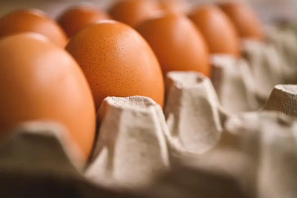 Alimenti conservati correttamente nel frigorifero a bassa temperatura