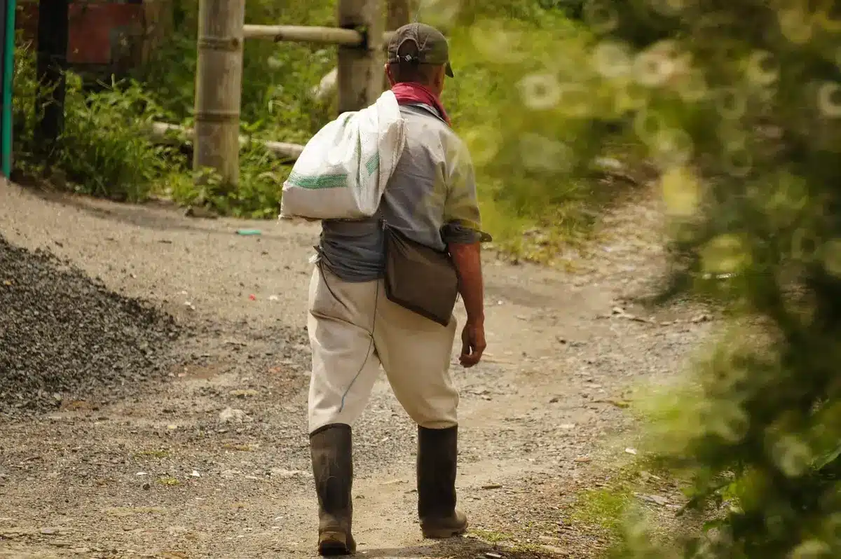 Lavoratore agricolo senza equipaggiamento di protezione in un campo