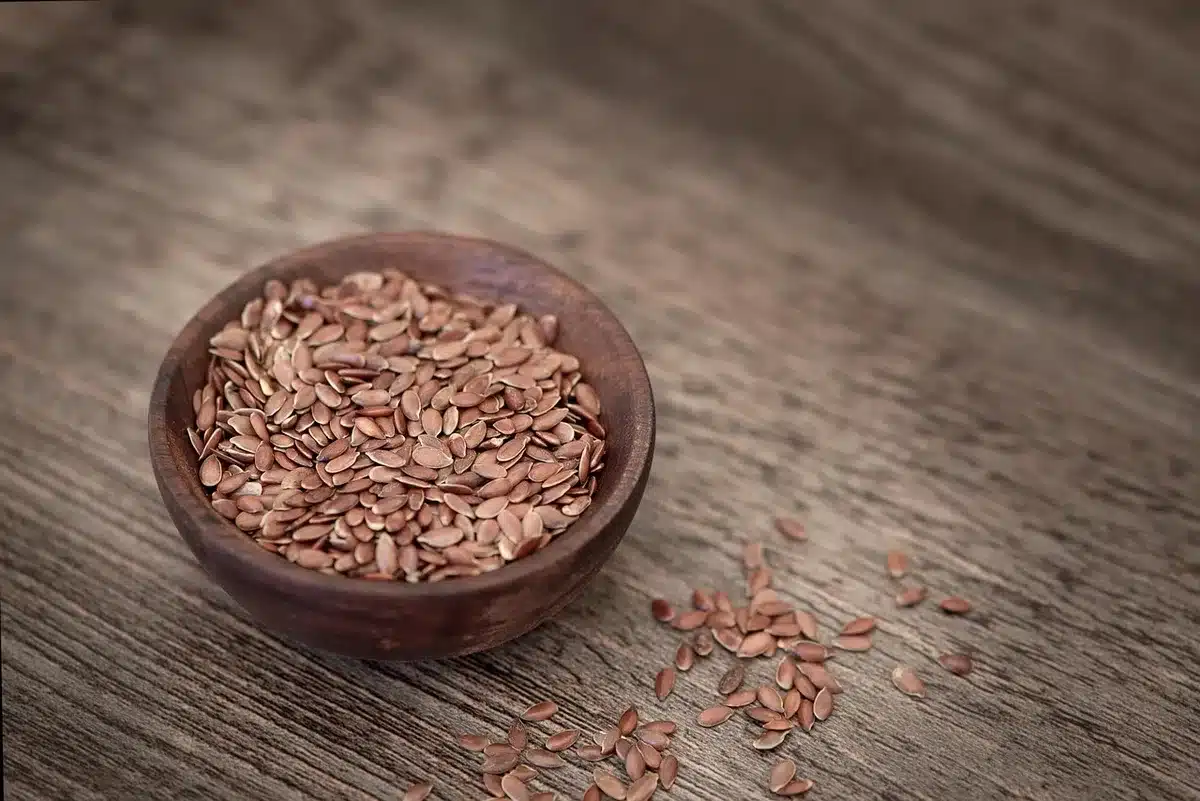 Ciotola di pet food premium con ingredienti naturali