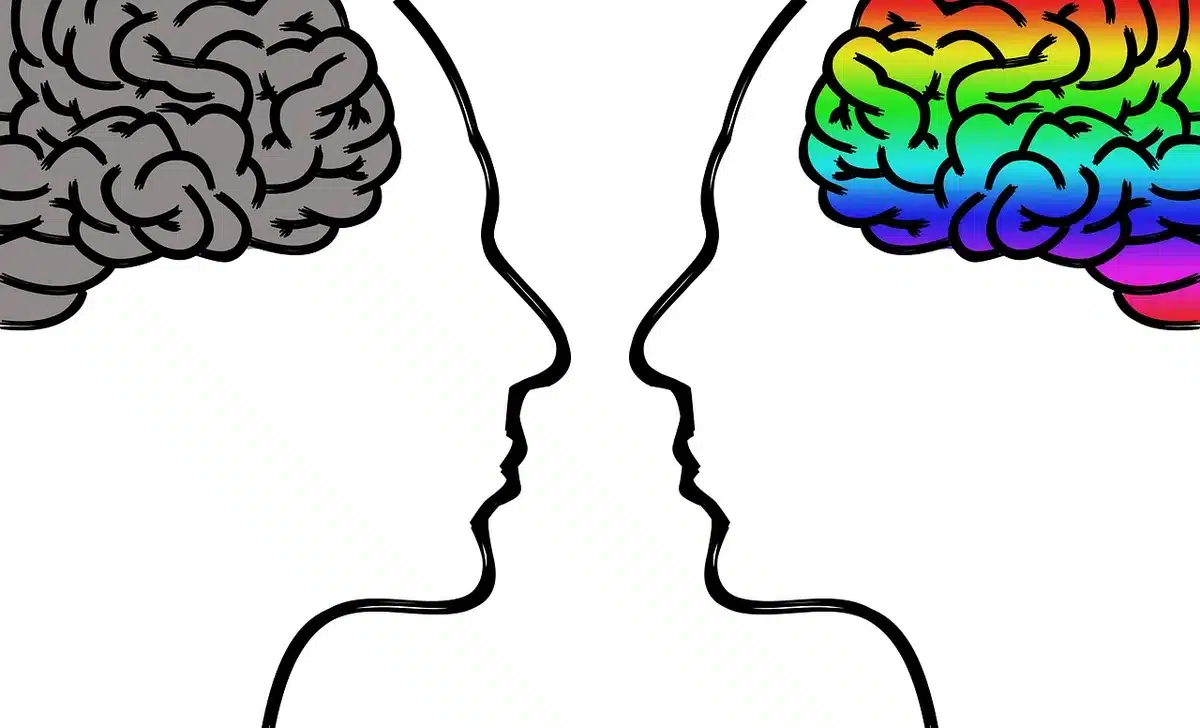Confronto visivo tra file immagine WebP, AVIF e JPEG su schermo
