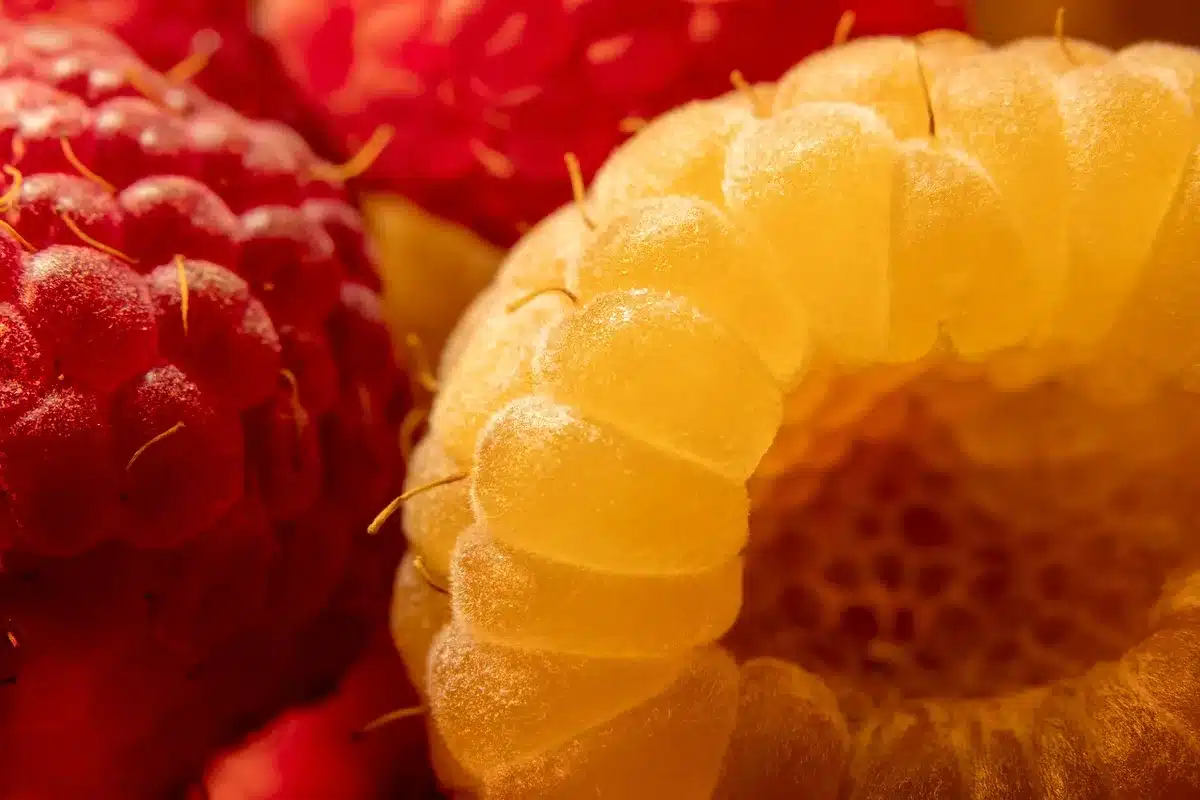 Dettaglio di un frutto artificiale che mostra colore e texture realistici