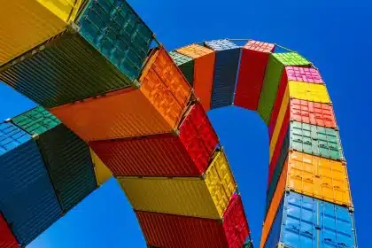 Contenitori per allevamento di insetti in area comunitaria di un campo, mani anonime al lavoro