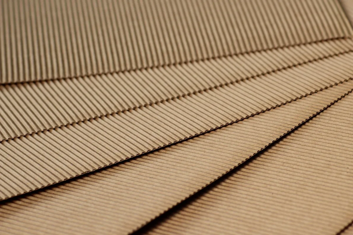 Esempi di packaging riciclabile e compostabile su un tavolo